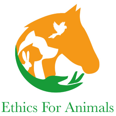 Ethics For Animals screenshot